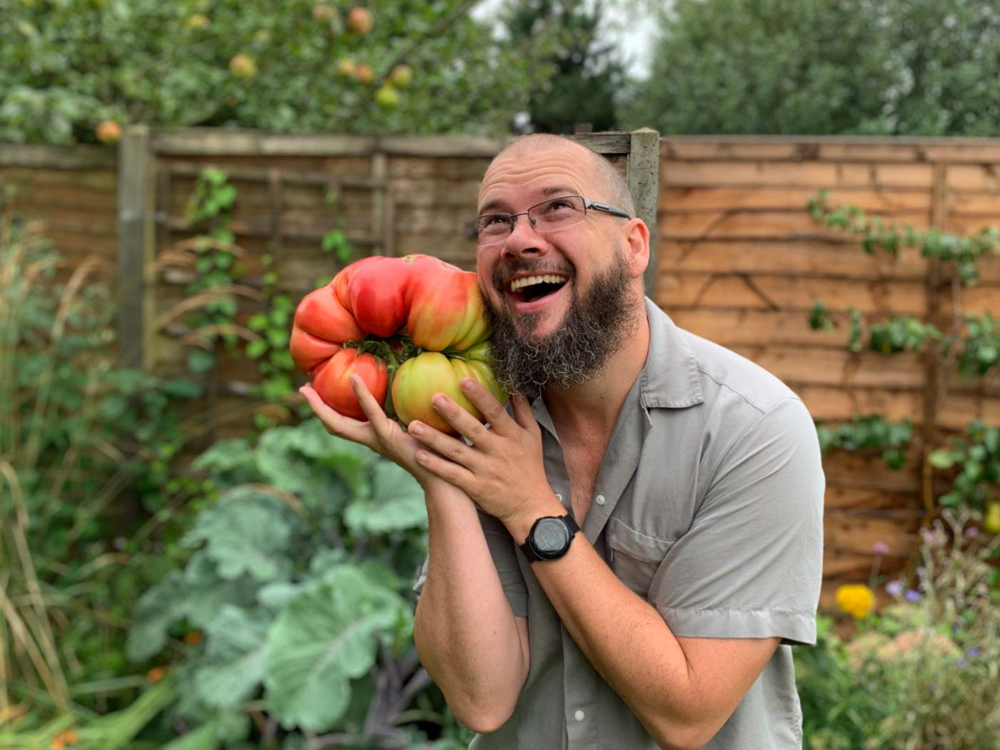 Gardener Grows Britain's Biggest Tomato... Using Pantyhose