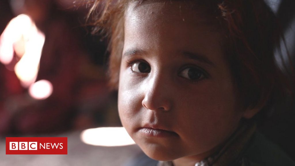 As famílias no Afeganistão que vendem órgãos e as próprias filhas para ter o que comer - BBC News Brasil