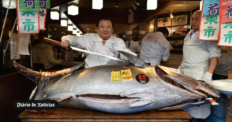 O rei do atum. Dono de cadeia de sushi compra atum por 1,5 milhões de euros