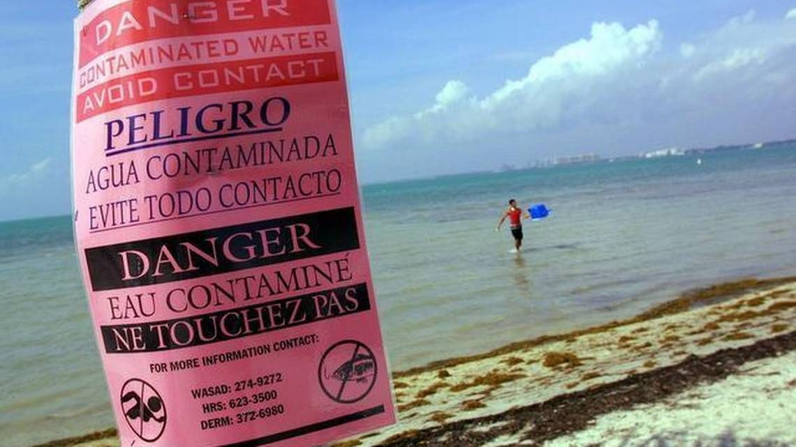 Biscayne Bay is suffocating, and Miami-Dade County leaders continue to let it die | Opinion