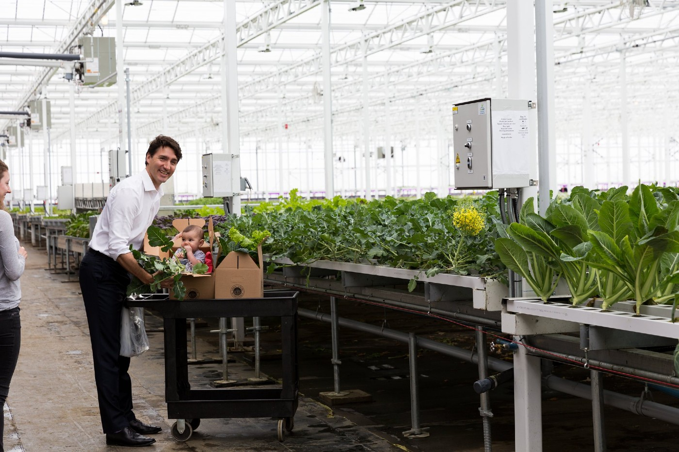 World's Biggest Rooftop Greenhouse in Montreal is as Big as 3 Football Fields – Now Can Feed 2% of the City
