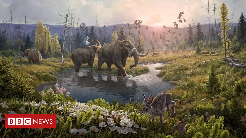 Como DNA mais antigo já sequenciado revela mundo perdido de 2 milhões de anos - BBC News Brasil