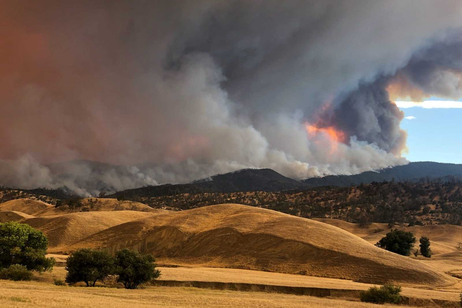 Oregon prepares for 'mass fatality incident' as fires continue to ravage West Coast