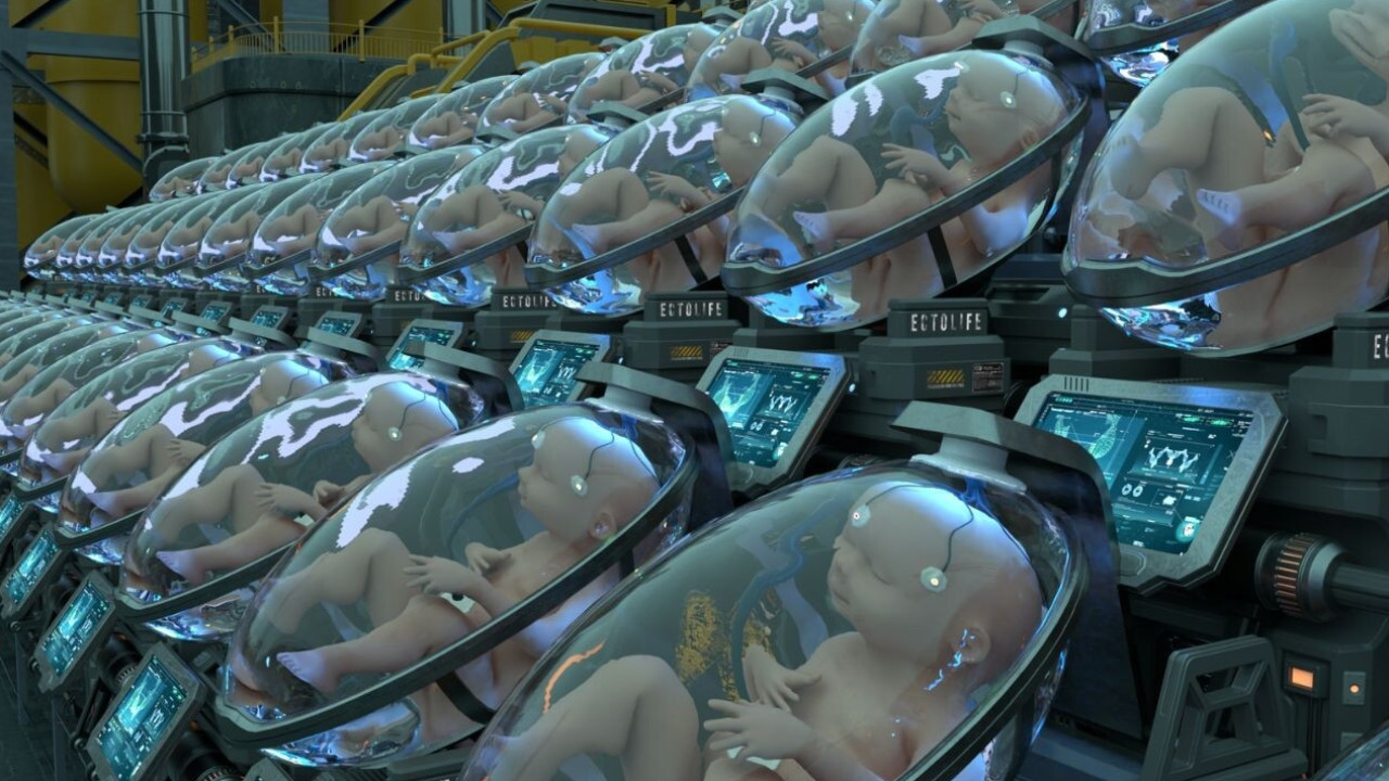 Cientista quer criar "primeiro ventre artificial do mundo"