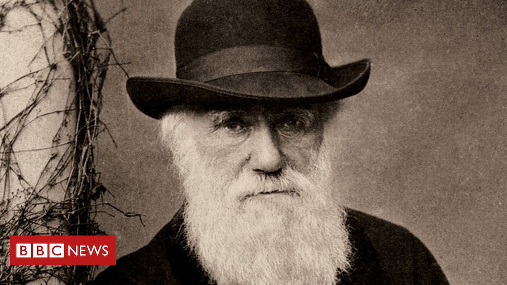 A visão de Charles Darwin sobre os escravizados no Brasil: 'Serão, no fim das contas, os governantes' - BBC News Brasil