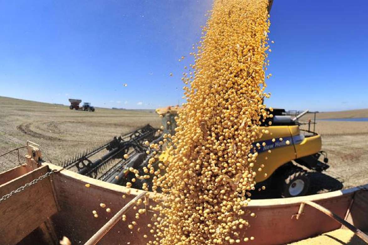 Exportações crescem com avanço do agro; indústria perde espaço | O TEMPO