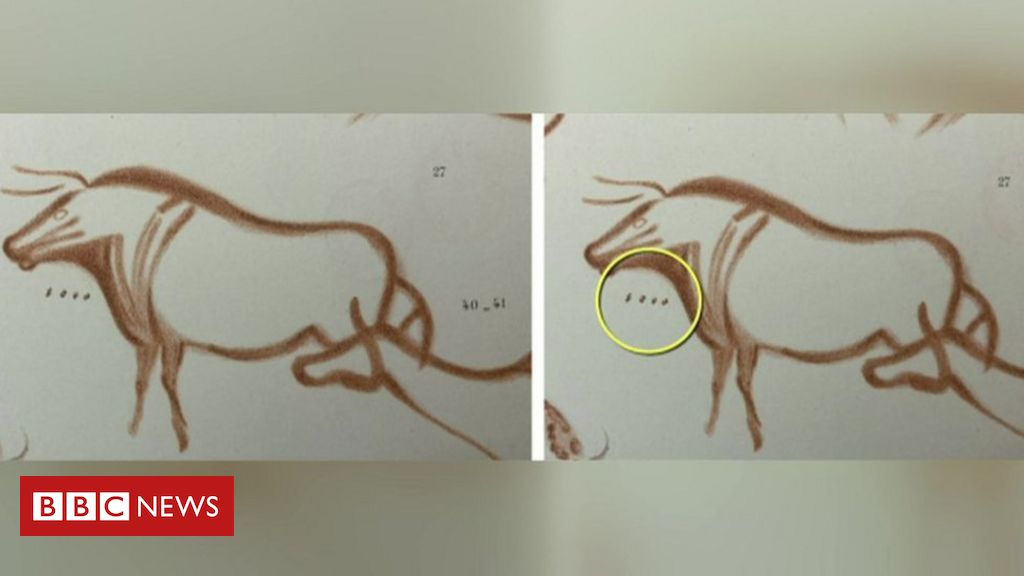 Arqueólogo amador desvenda mistério de sinais em pinturas da Era do Gelo - BBC News Brasil