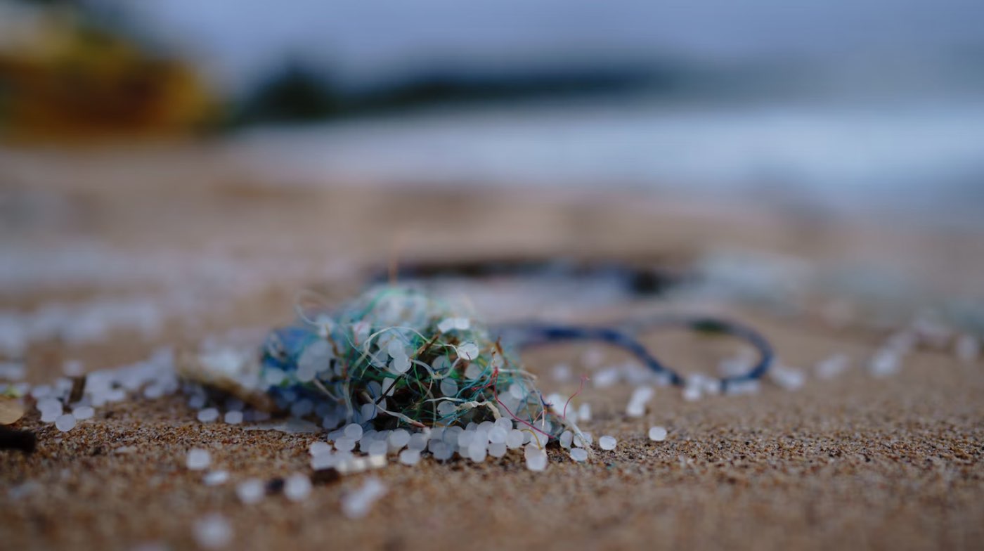 Australia Cut Plastic Waste on Her Beachs by Nearly One-Third Over Just 6 Years