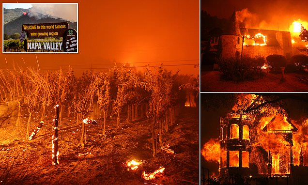 Famed Napa Valley winery destroyed by fire as 2,000 evacuated