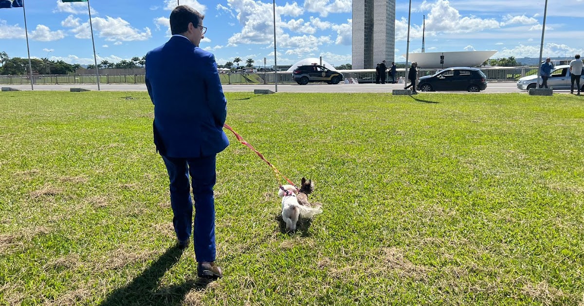 Marcelo Queiroz toma posse como deputado federal acompanhado por suas cadelinhas