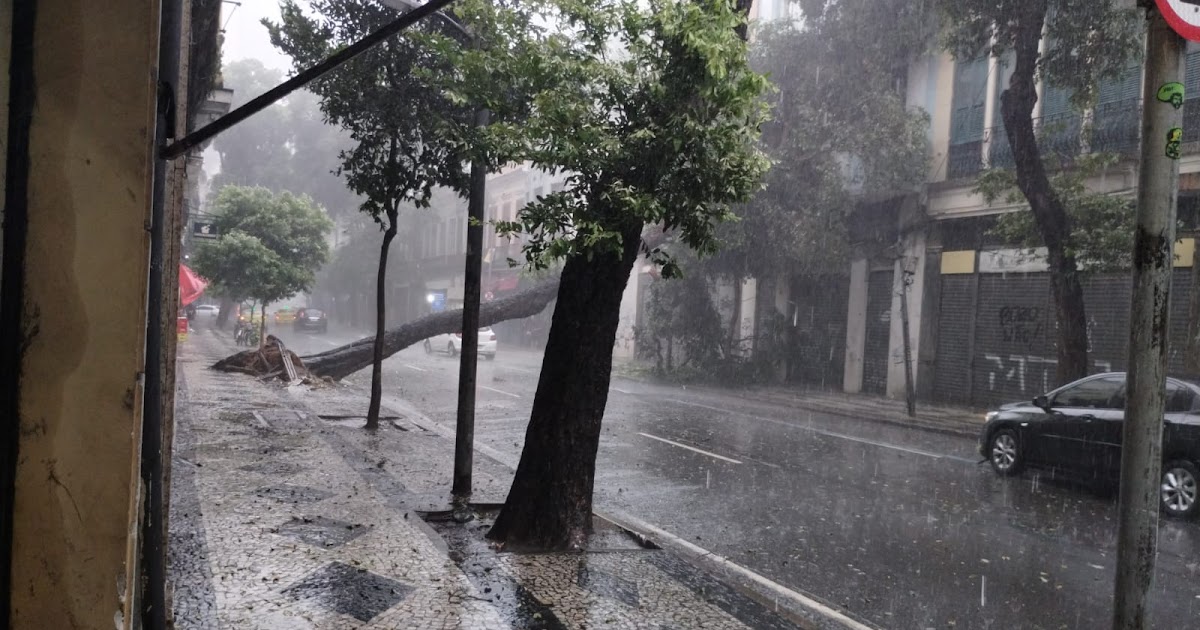 Chuva provoca alagamentos e queda de árvores no Centro do Rio